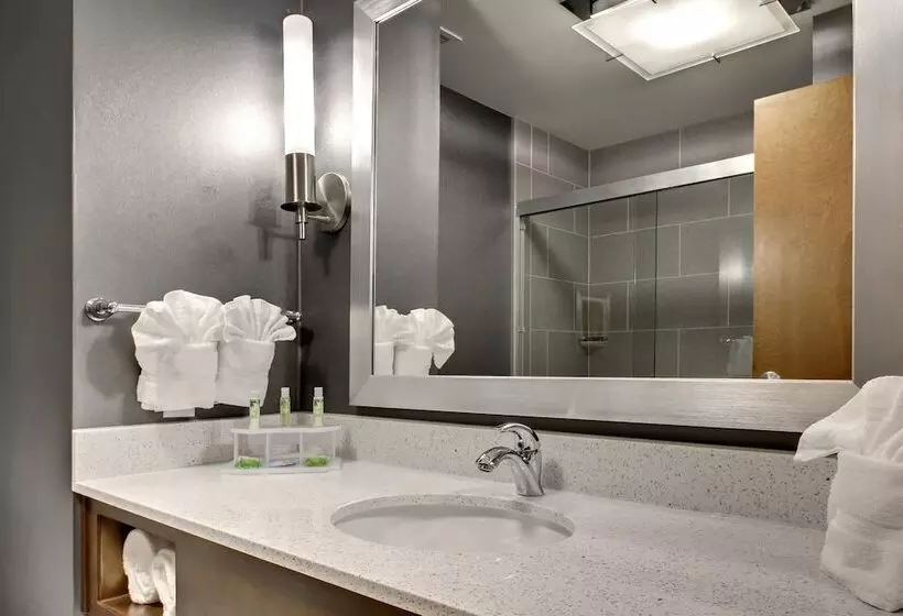 Holiday Inn Express Hotel & Suites Albany By Ihg