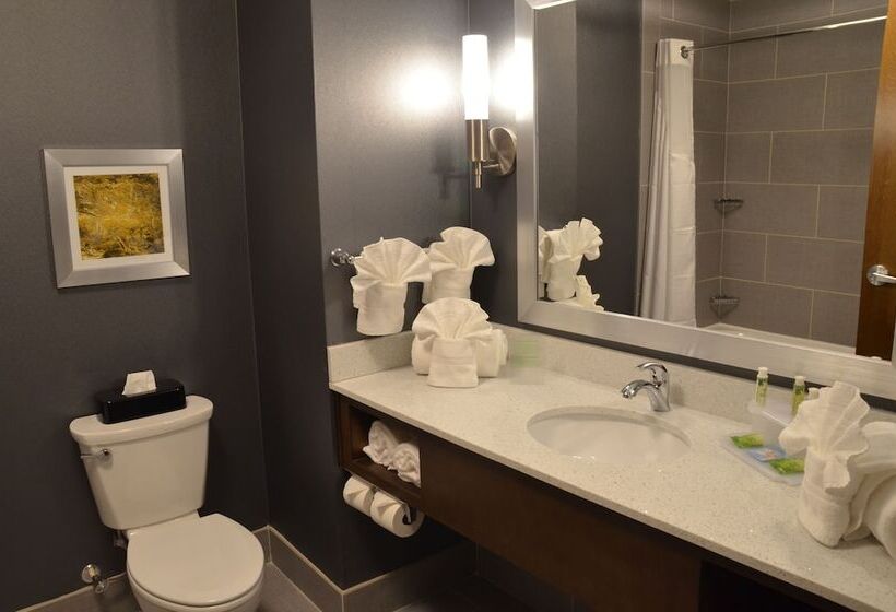 Holiday Inn Express Hotel & Suites Albany By Ihg