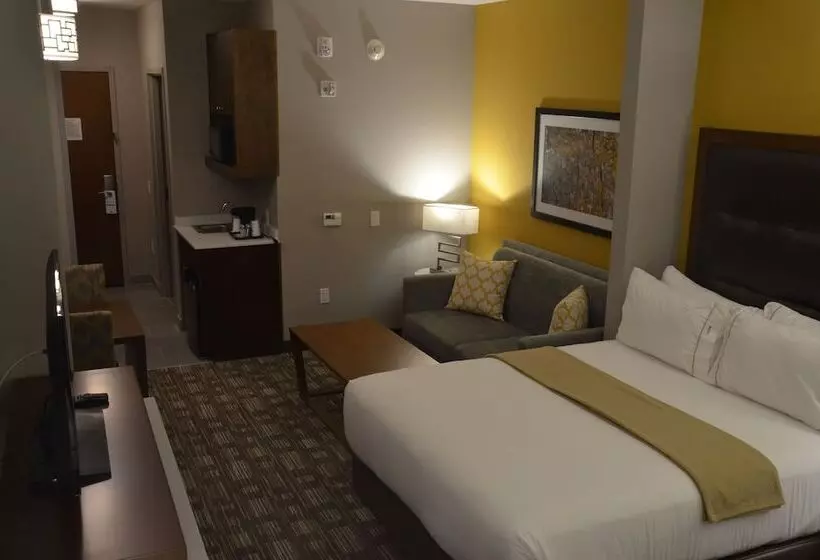 Holiday Inn Express Hotel & Suites Albany By Ihg