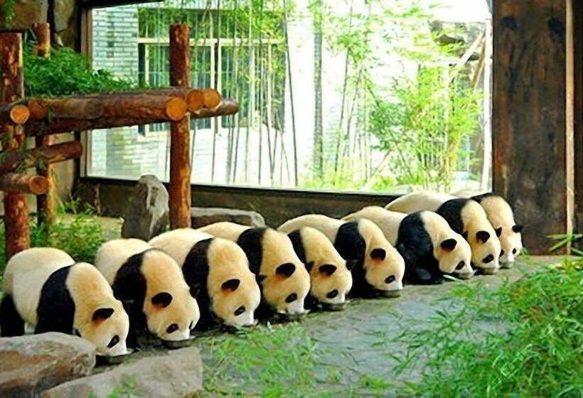 Hotel Shanghai Shahai International