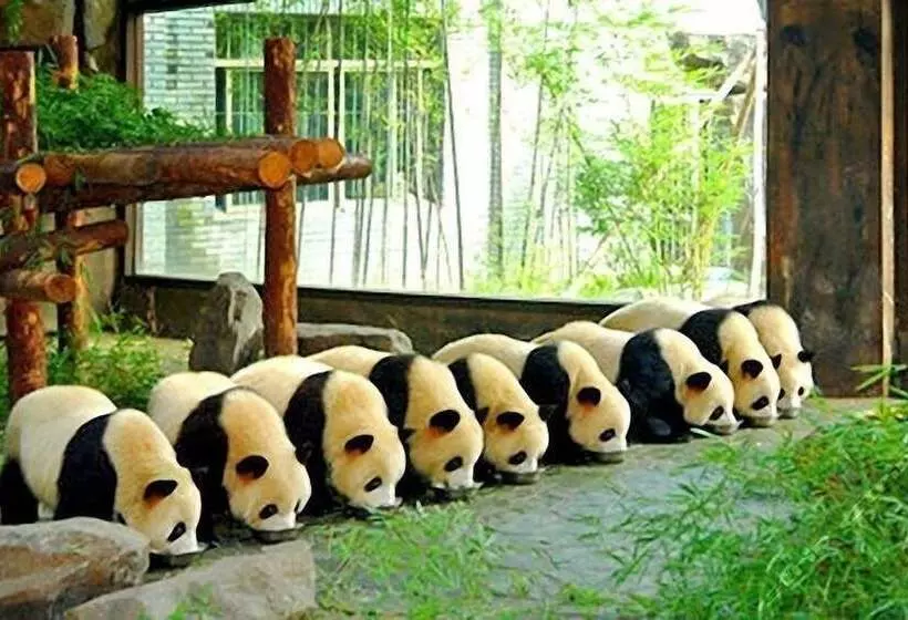 Otel Shanghai Shahai International