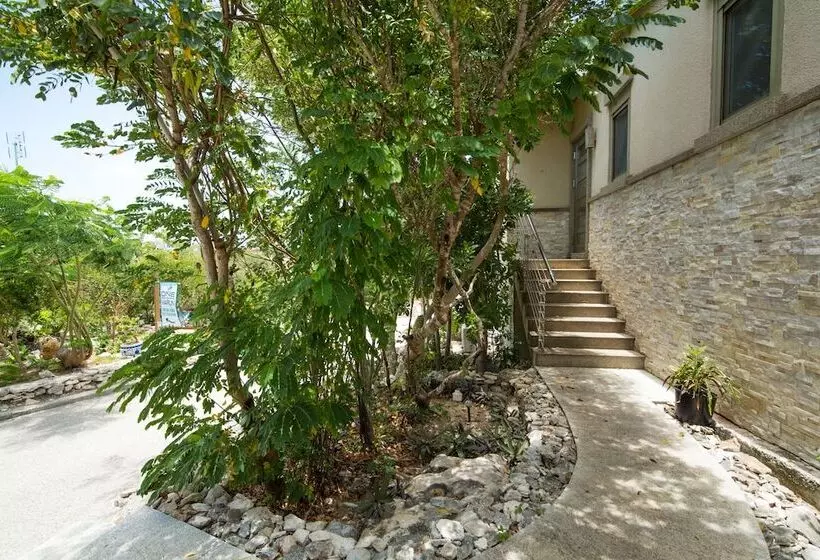 One On Marlin Resort