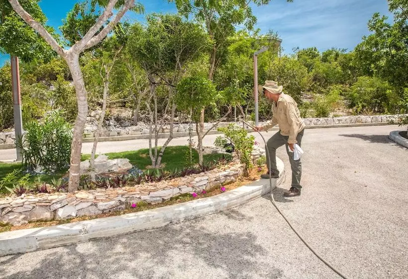 One On Marlin Resort