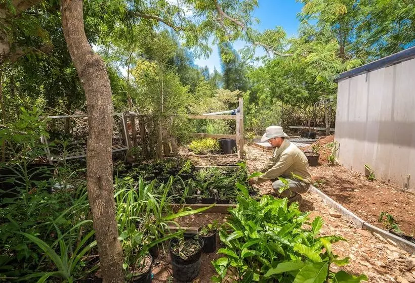 One On Marlin Resort