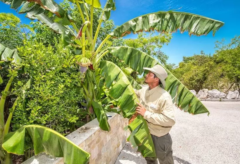 One On Marlin Resort