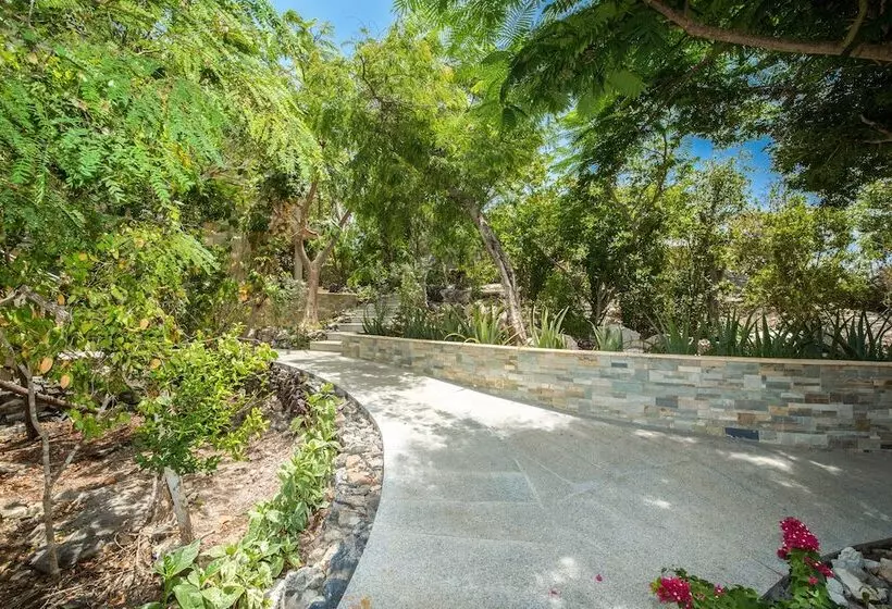 One On Marlin Resort