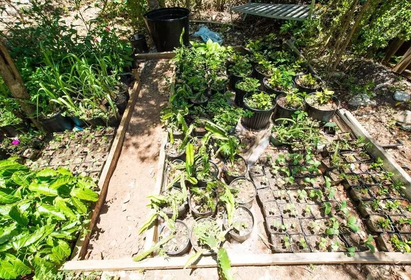 One On Marlin Resort