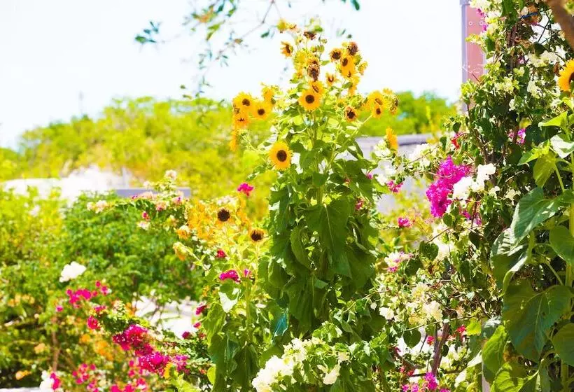 One On Marlin Resort