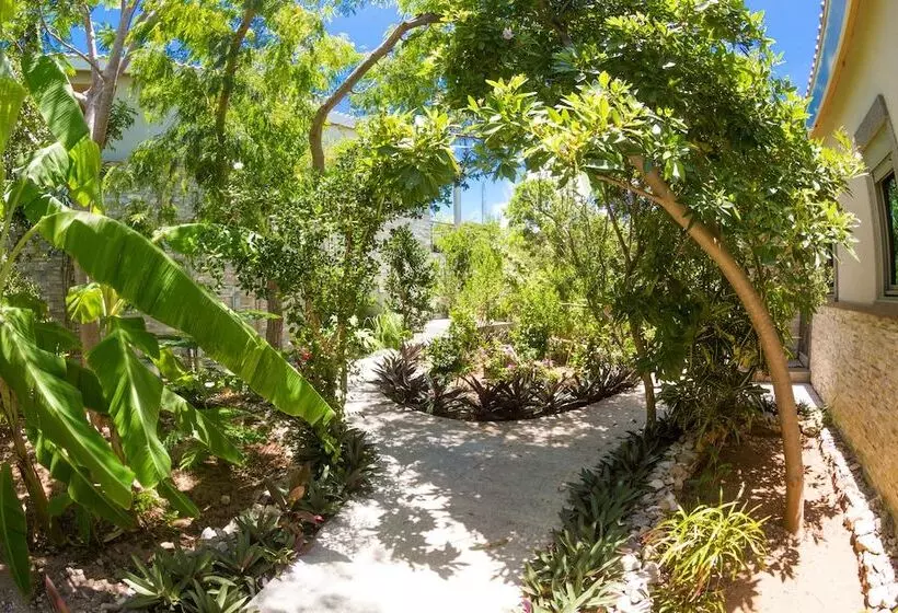 One On Marlin Resort