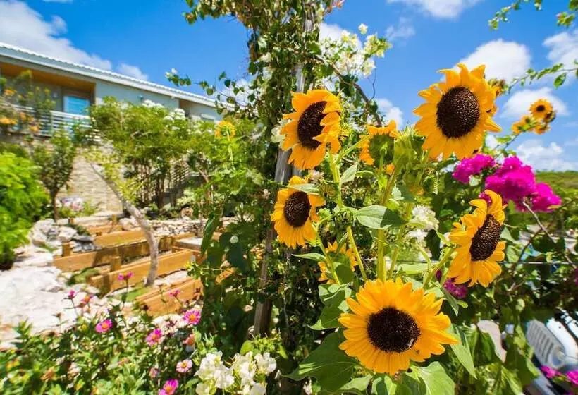 One On Marlin Resort