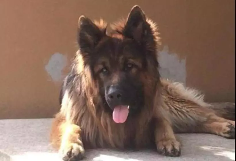 Agriturismo Santa Reparata