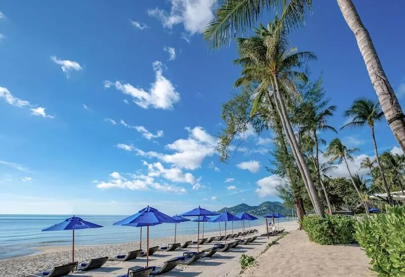 Hotel Ozo Chaweng Samui