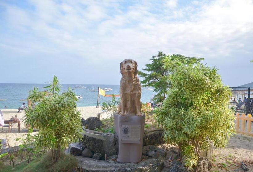 Szálloda Acuaverde Beach Resort