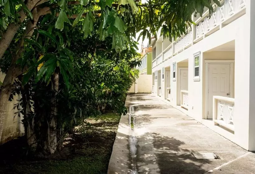 هتل Cleopatra Villas