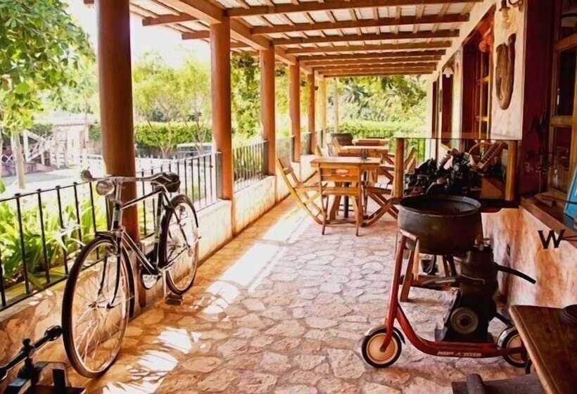 هتل Palomino Ranch