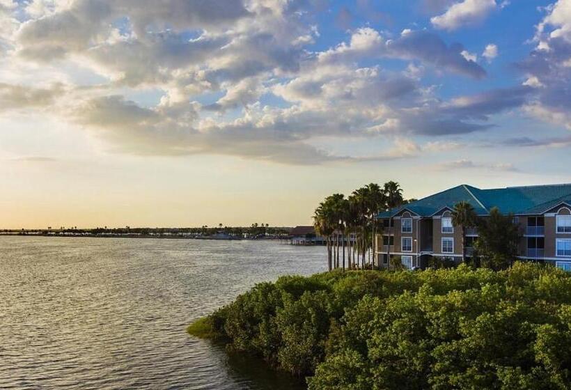 2 Bed Condo With Balcony Facing Pool And Sunsets!