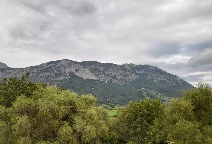ホテル Agriturismo Palas De Serra Country Resort