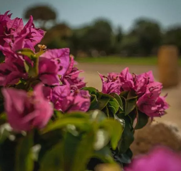 Hotelli Finca Gomera   Agroturismo