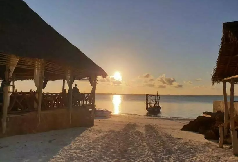 ホテル Horizon Of Michamvi Beach