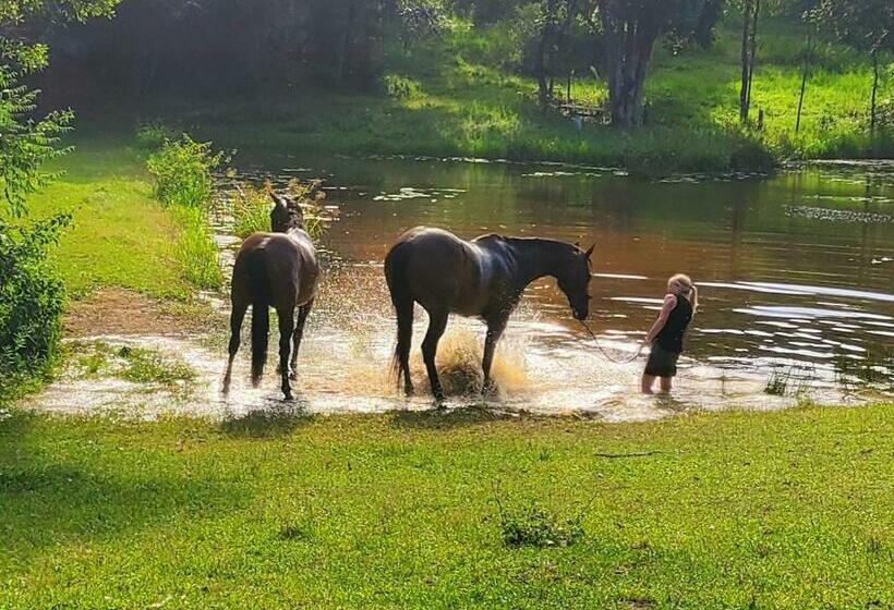 פנסיון The Wake Up Call Accommodation & Retreats   Noosa Hinterland