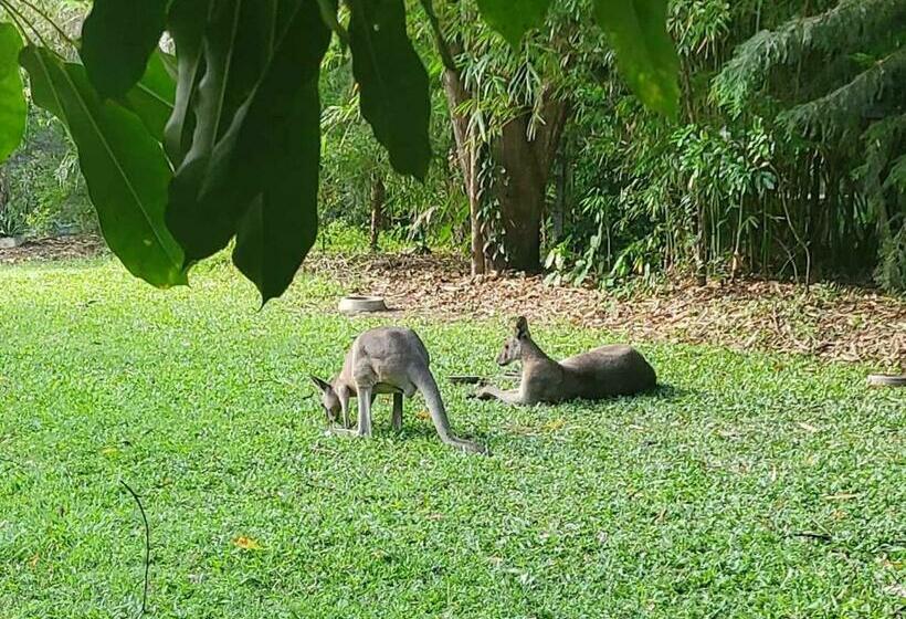 פנסיון The Wake Up Call Accommodation & Retreats   Noosa Hinterland