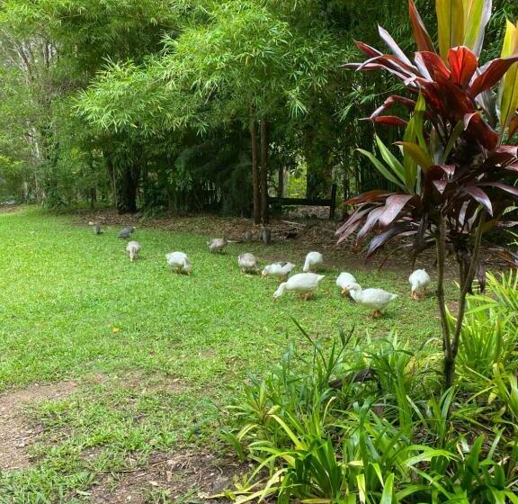 פנסיון The Wake Up Call Accommodation & Retreats   Noosa Hinterland