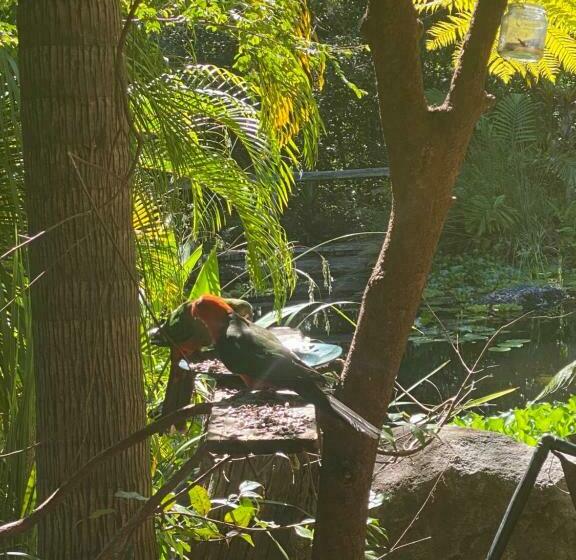 פנסיון The Wake Up Call Accommodation & Retreats   Noosa Hinterland