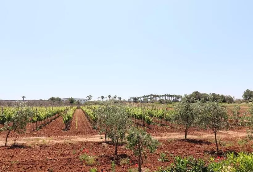 Torre Santo Stefano