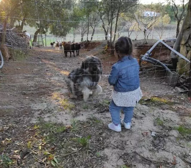 هاستل Fazenda Do Marante