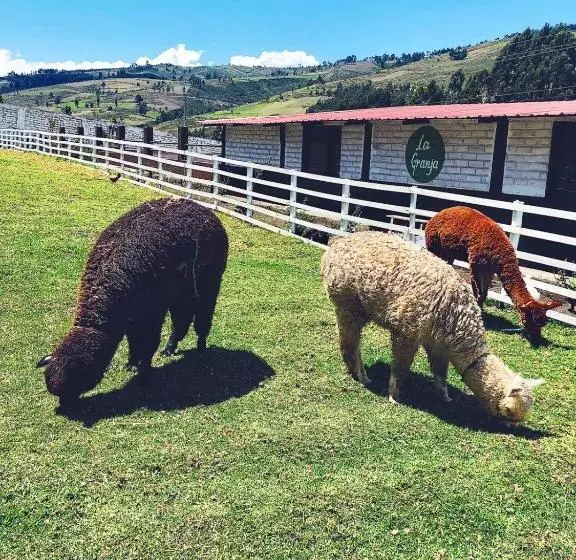 Aamiaismajoitus (B&B) Hacienda Santa Ana Lodging