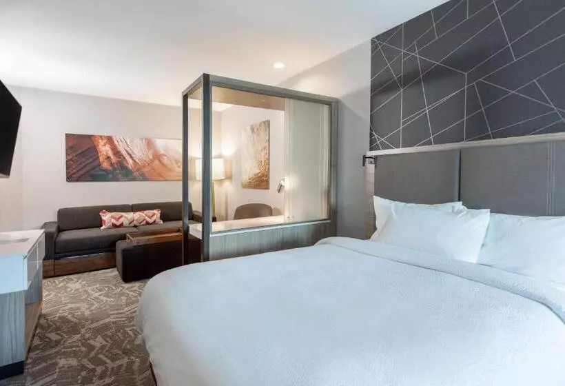 Hotelli Springhill Suites By Marriott Chester