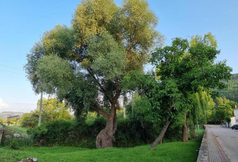 پانسیون Ncantadarooms