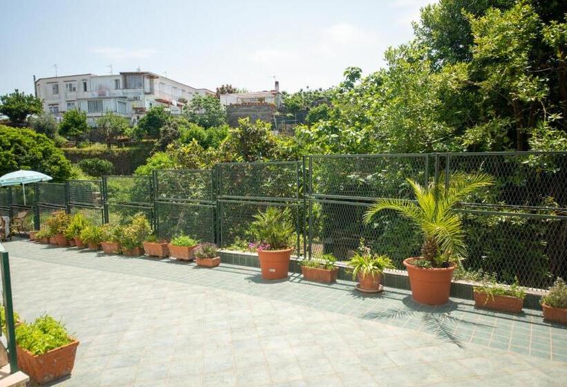 Villa Dei Sogni   Aparthotel Ischia Ponte