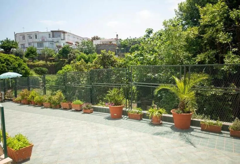 Villa Dei Sogni   Aparthotel Ischia Ponte