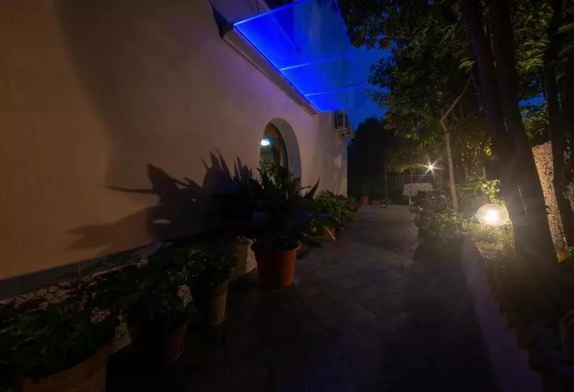 Villa Dei Sogni   Aparthotel Ischia Ponte