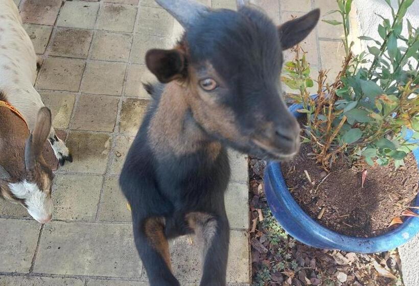 مبيت وإفطار L Orée Du Bois Bettu