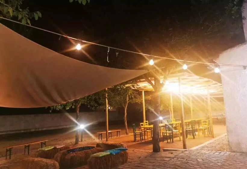 ペンション Bosco Didattico Mezzana Grande