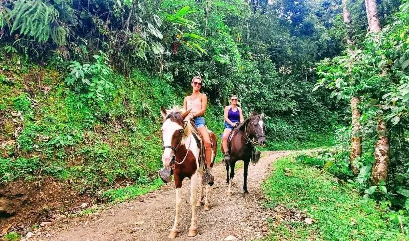 Lomakeskus Rivel   Restaurant & Nature Retreat