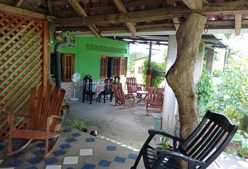 هاستل Loren S House