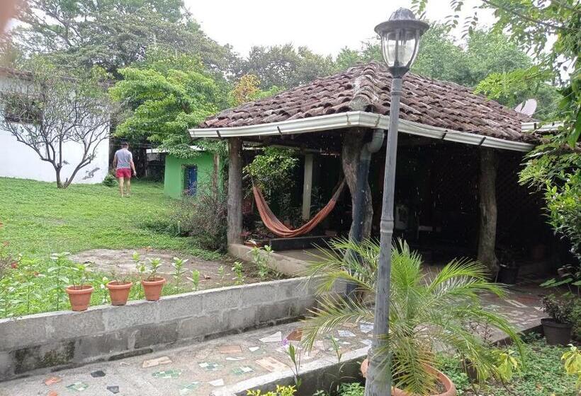 هاستل Loren S House