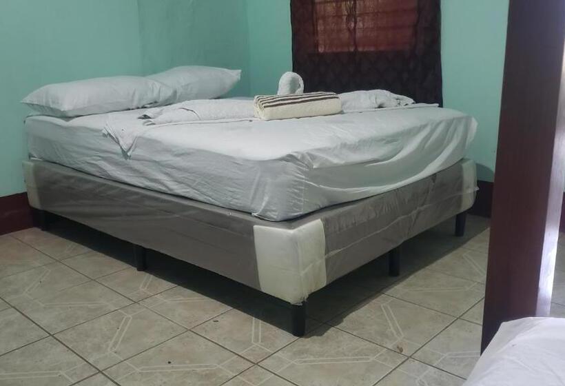 هاستل Loren S House