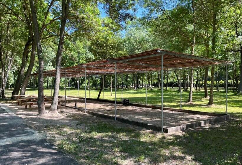 住宿加早餐 Domaine Des Eucalyptus