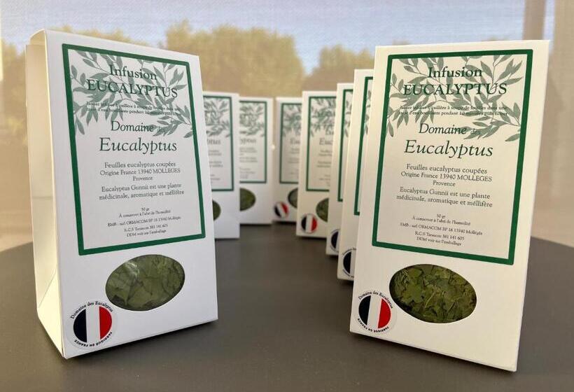 住宿加早餐 Domaine Des Eucalyptus