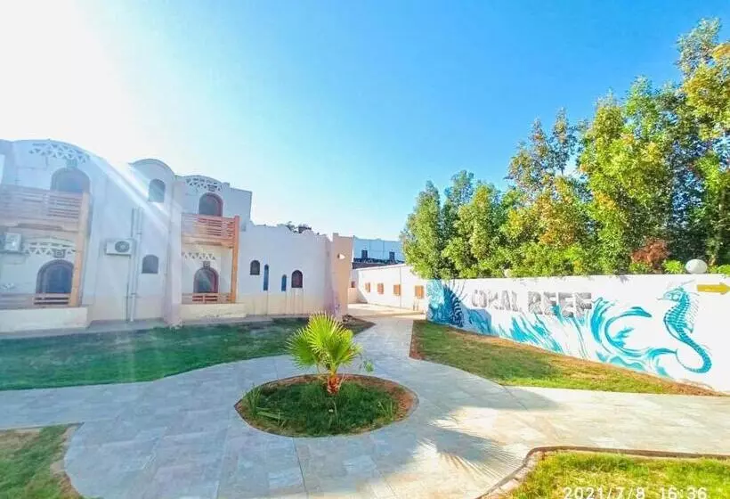 Coral Reefs Hotel Dahab