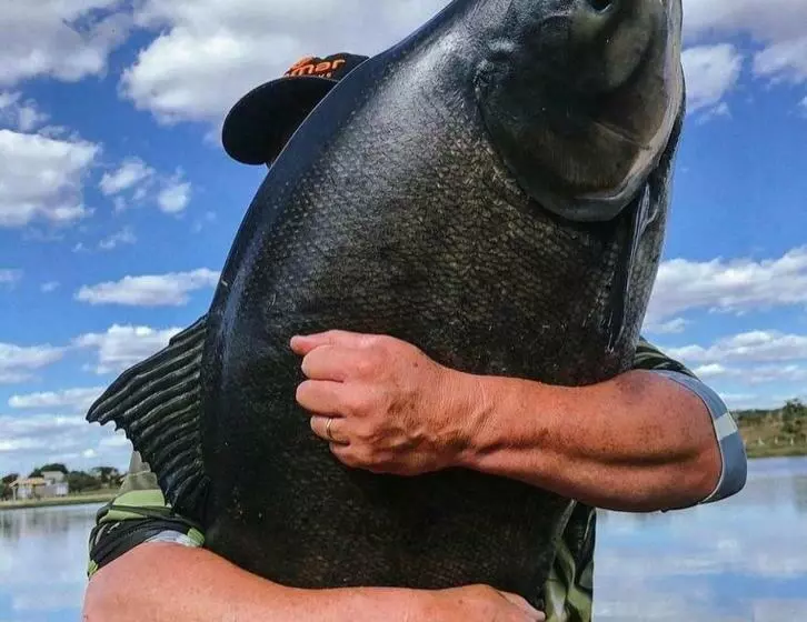 Hotelli Fazenda Pacu