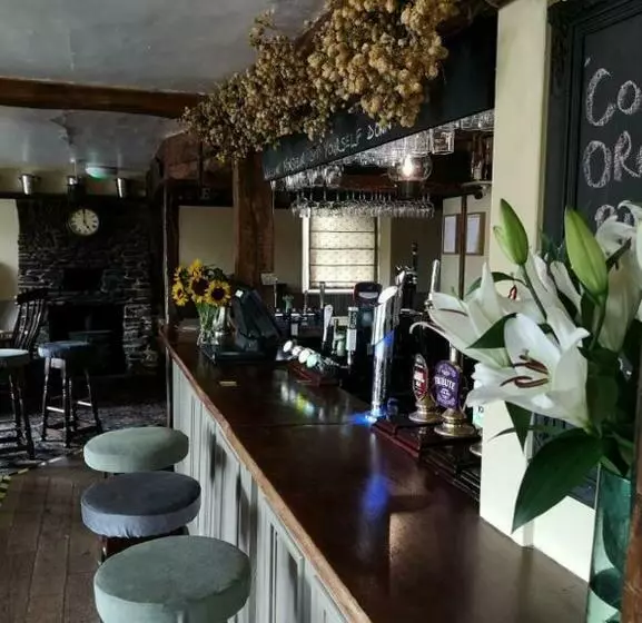 Hotel Whod Have Thought It Inn