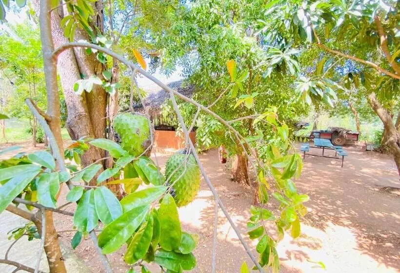 استراحتگاه Ima Villa Sigiriya