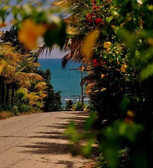 تختخواب و صبحانه 4 Elementos Guest House