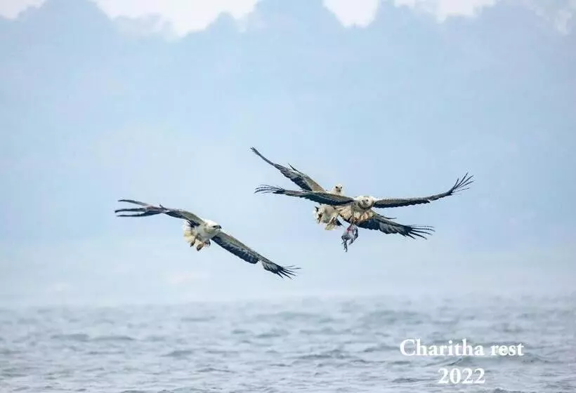 Majatalo Charitha Rest