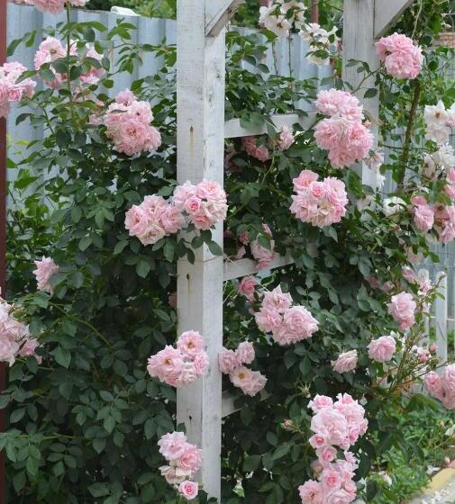 Pensjonat Cristalex Villaverde Bucharest